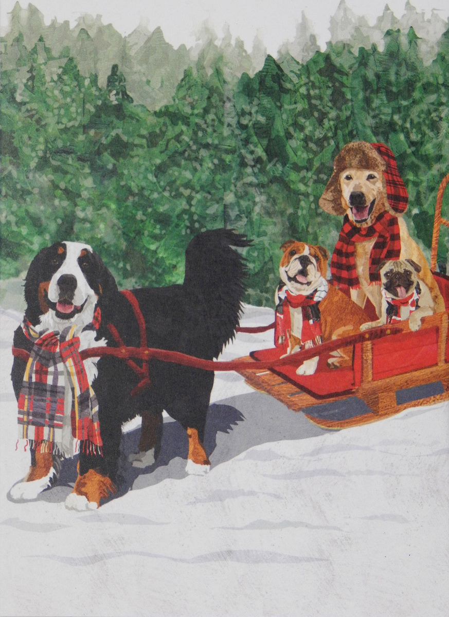 Dog Christmas Cards (#1448)<br><font color="red"><br>Slightly Smaller Card!</b></font><br>100% Recycled<br>by Allport Editions