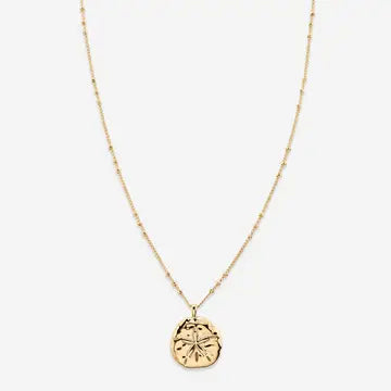 Sea Seeker Sand Dollar Necklace<br>14K Gold Plated