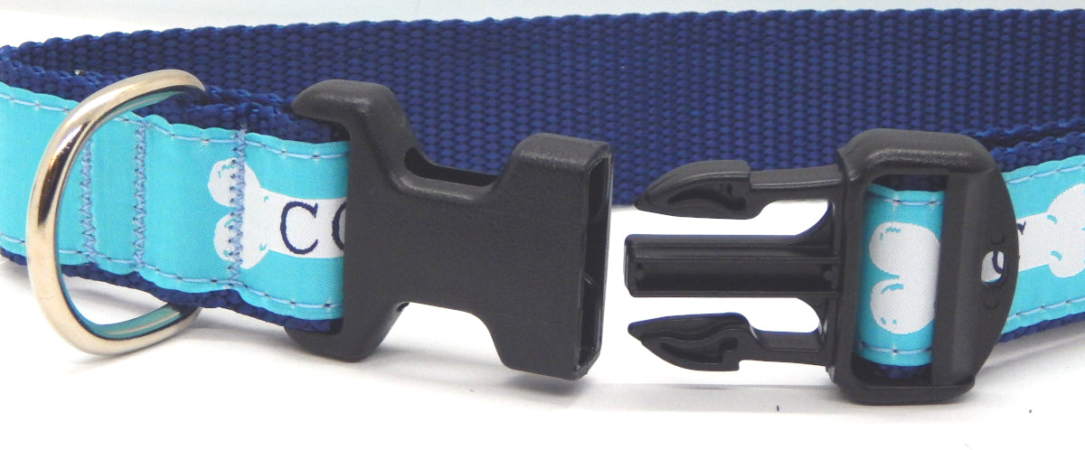 Preston Ribbons "Cape Cod Bone on Teal" Collar, Leash or Set