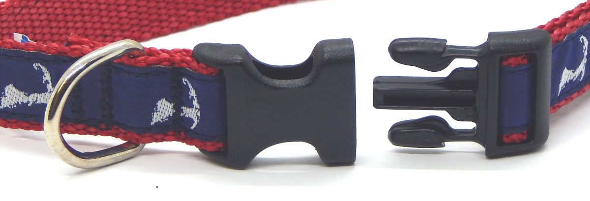 Preston Ribbons "Map of Cape Cod" Collar, Leash or Set