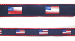 Preston Ribbons "American Flag" Collar, Leash or Set