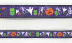 Preston Ribbons "Halloween" Collar, Leash or Set