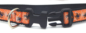 Preston Ribbons "Spiders" Collar, Leash or Set