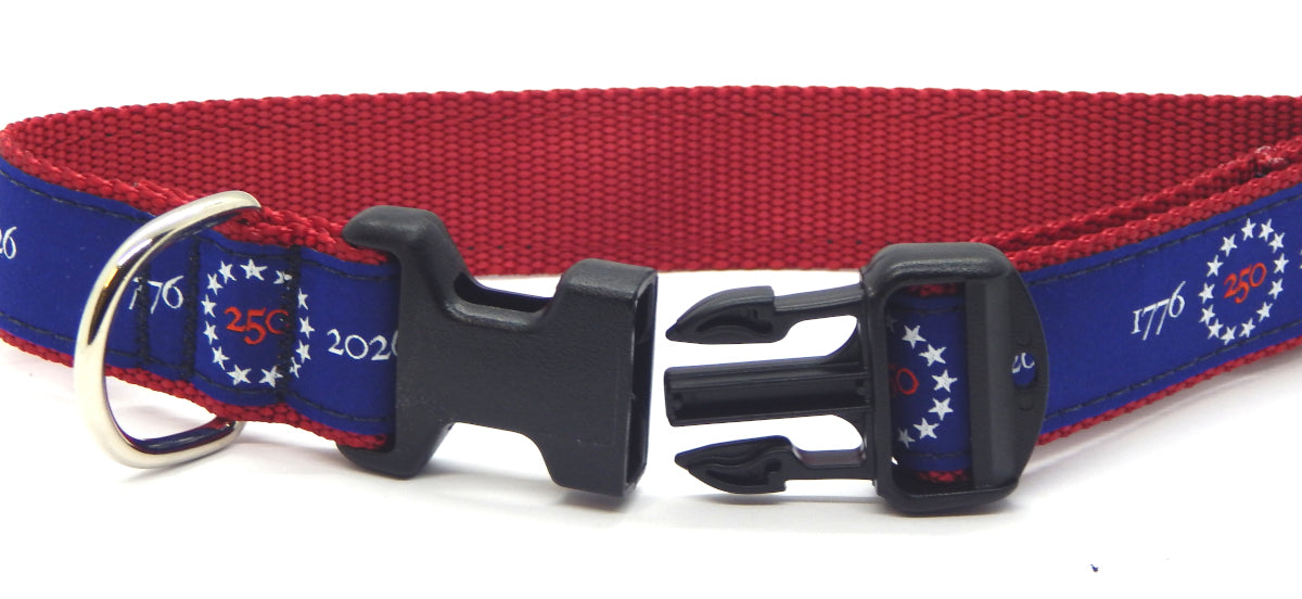 Preston Ribbons "America 250" Collar, Leash or Set