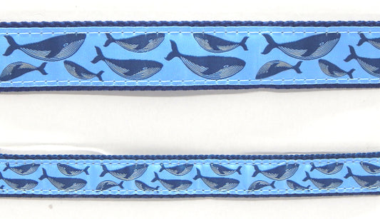 Preston Ribbons "Humpback Whale on Light Blue" Collar, Leash or Set