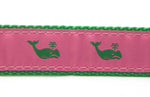 Preston Ribbons "Green Whale on Pink" Collar, Leash, Set, MEDIUM/LARGE Dogs, FREE Matching Key Ring with Set