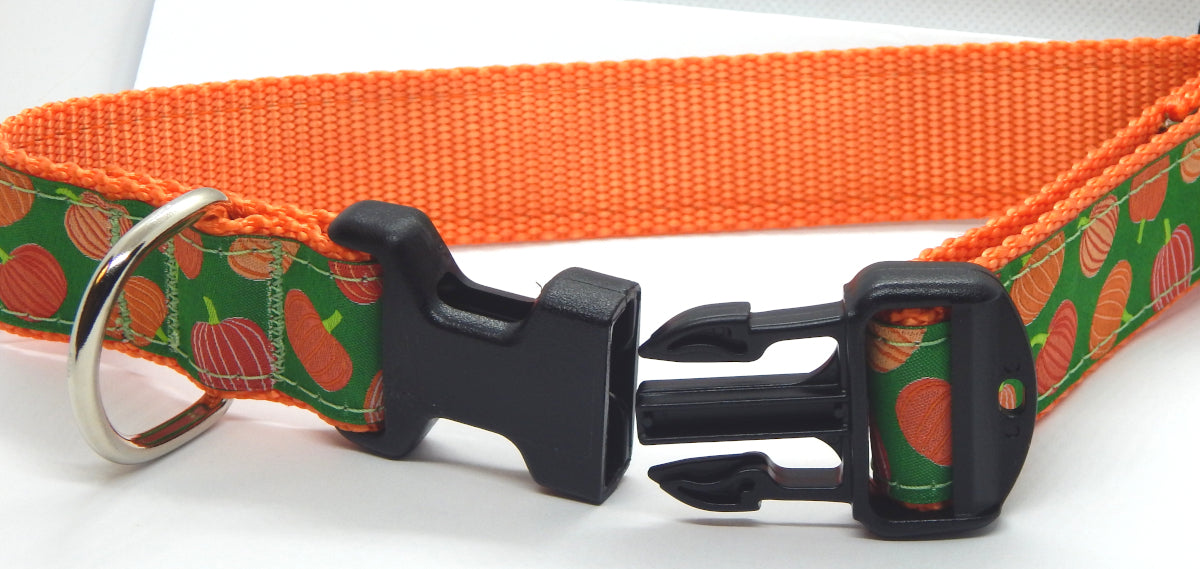 Preston Ribbons "Pumpkins" Dog Collar, Leash, or Set