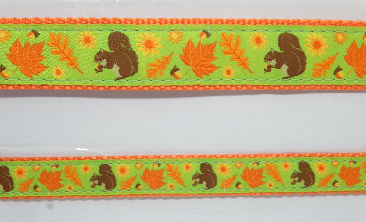 Preston Ribbons "Squirrel & Nuts" Collar, Leash or Set