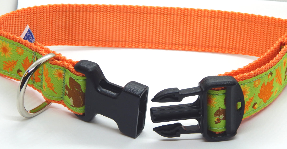 Preston Ribbons "Squirrel & Nuts" Collar, Leash or Set