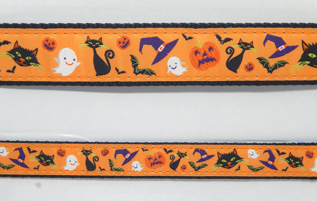 Preston Ribbons "Halloween Cat" Collar, Leash or Set