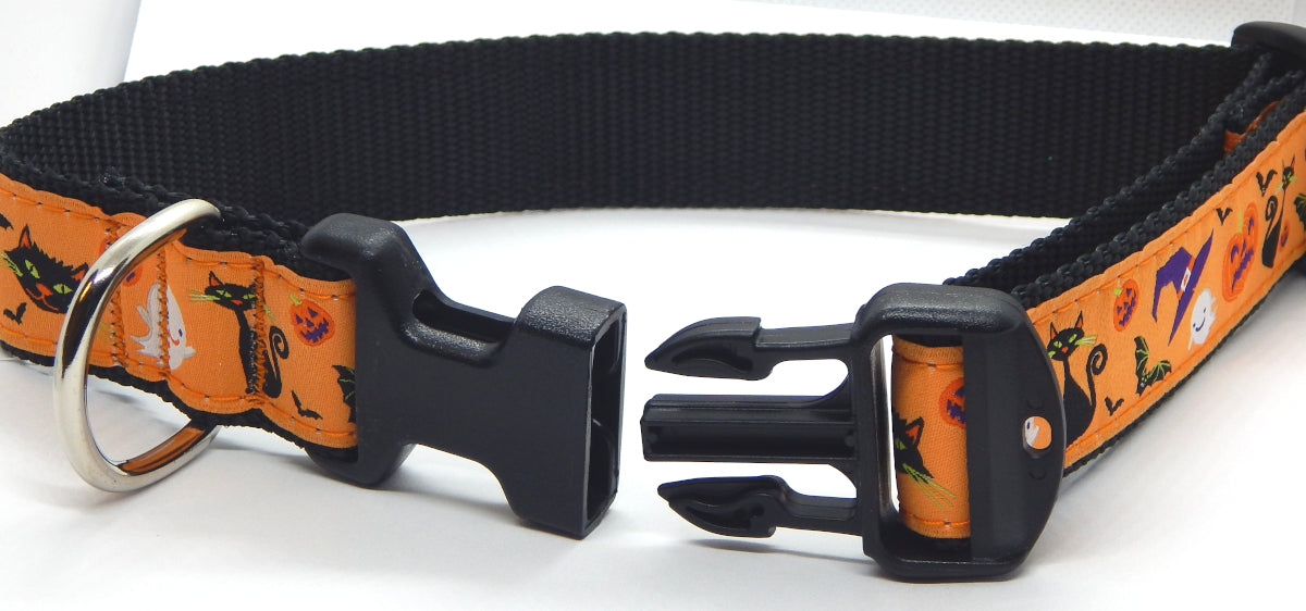 Preston Ribbons "Halloween Cat" Collar, Leash or Set