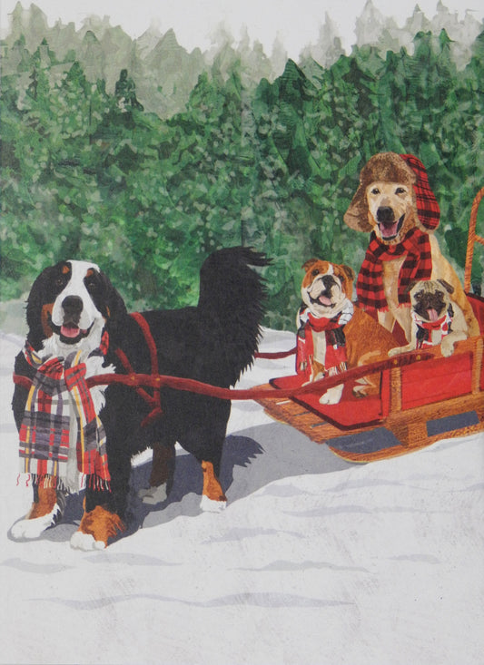 Dog Christmas Cards (#1448)<br><font color="red"><br>Slightly Smaller Card!</b></font><br>100% Recycled<br>by Allport Editions