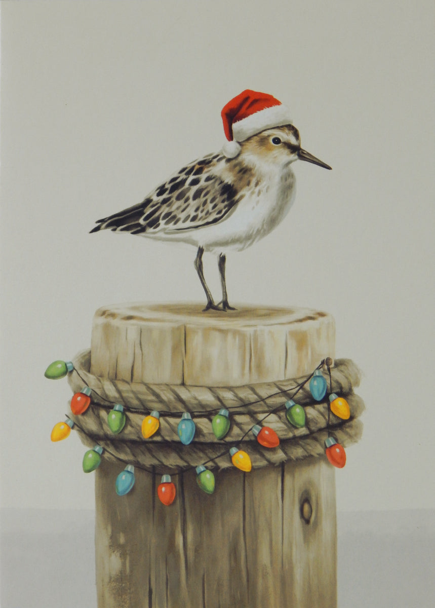 Bird Christmas Cards (#1478)<br>Slightly Larger Card<br>NEW! by LPG Greetings