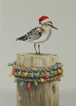 Bird Christmas Cards (#1478)<br>Slightly Larger Card<br>NEW! by LPG Greetings