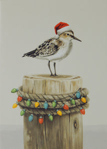 Bird Christmas Cards (#1478)<br>Slightly Larger Card<br>NEW! by LPG Greetings