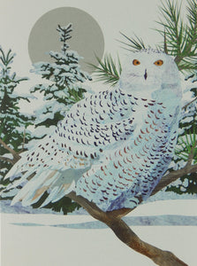 Bird Christmas Cards (#1340)<br>100% Recycled<br>by Allport Editions